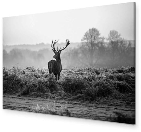 murando - Wandbilder XXL Hirsch 120x80 cm 1 tlg - Wand Deko Vlies Leinwand Bilder Groß Wanddeko Wohnzimmer Schlafzimmer Kunstdrucke - Natur Tier Landschaft g-B-0048-b-c
