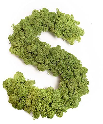 Moosbuchstabe Islandmoos ABC Buchstaben mit Moos (S, 30 cm)