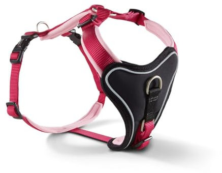 Geschirr Professional Comfort Gr.-1