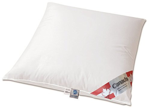 Schäfer Canada Dreams Exklusive canadische Landdaune 90% Kissen Klasse 1 80x80