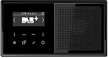Jung Smart Radio DAB Komplett-Set Schwarz Serie LS DABLS1SW mit Lautsprecher und 2-Fach Rahmen LS982SW