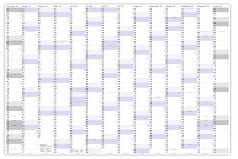 XXXL Wandkalender Special A0 2025 nass abwischbar (Format 120 x 80cm) Jahresplaner Wandplaner gerollt mit extra großen Tageskästchen zur optimalen Verwendung