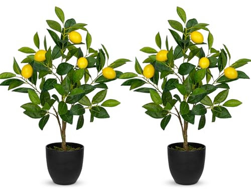 Hollyone 2 plantas artificiales decorativas de limonero, 60 cm, planta de plástico en maceta negra, plantas de interior artificiales con ramita de limón y frutas de limón para decoración del hogar,