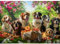 MISITU Jigsaw Puzzle 1000 Pieces for Adults and Children, Dogs in Garden Jigsaw Puzzle Gift