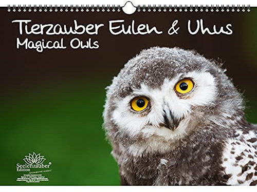 Eulenzauber Eulen und Uhus DIN A3 Kalender - Immerwährender Kalender - Seelenzauber