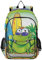 YOUJUNER Kinder-Rucksack, Sommer, Surf, Skateboard, Frosch, Schultasche, Rucksack, Tagesrucksack, Büchertasche, Reiserucksack für Jungen und Mädchen, mehrfarbig, 33 x 22 x 45cm / 12.9 x 8.6 x 17.7inch