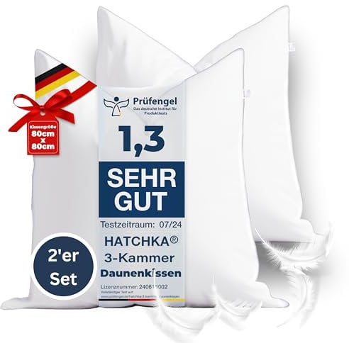 2'er Set Premium 3-Kammer Kopfkissen 80x80 mit 100% natürlichen Gänsedaunen und Federn- Langlebig & Atmungsaktives Bettkissen I Federkopfkissen I Federkissen 80 x 80 cm Kopfkissen Daunen