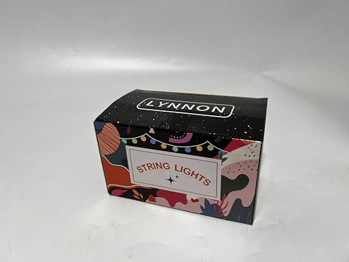 LYNNON LED Lichterkette Außen Warmweiß 30m 1000 LED Lichterkette Strombetrieben Outdoor Wasserdicht 8 Modi mit Fernbedienung für Innen Party Hochzeit Garten Balkon Camping Weihnachtsbaum deko