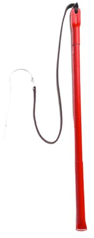 Bassadoro Dog Agility Equipment Set for Training and Exercise - Agility Jumps, Seesaw, A-Frame for Indoor and Outdoor Use- Red