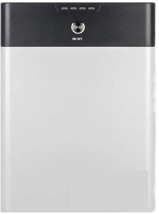 WAFOHSR Centrale Électrique Portable 1000WH, 250W, Générateur Solaire, Batterie LiFePo4, 314Ah, for Camping-Car, Voiture, Stockage D'énergie 1K LéGer Et Portable