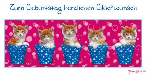 Keith Kimberlin Geburtstagskarte Glückwunschkarte Katzen in Töpfen Panoramakarte 11x22 cm