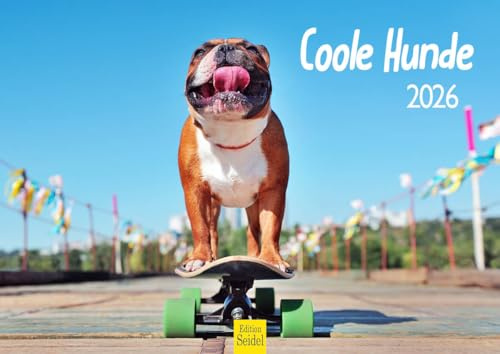 Edition Seidel Premium Kalender Coole Hunde 2026 Format DIN A4 Wandkalender Hundekalender Hund Welpe Hunderasse lustige Sprüche