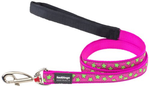 Red Dingo Designer Dog Lead, Lime Green Stars on Hot Pink (25mm x 1.2m) L