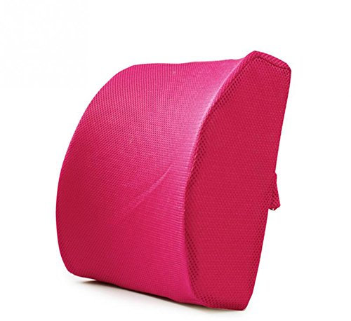 HomDSim Memory Foam Lumbar Cushion Lower Back Support Pillow Posture Correcting Car Seat Home Office Chair (Rose Red)