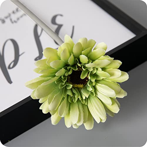 cn-Knight 12pcs Künstliche Gänseblümchen Gerbera 55cm Seide Chrysanthemen Chrysanths Blume für Hochzeit,Braut und Brautjungfer,Haus Dekoration,Party,Grün