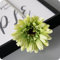 cn-Knight 12pcs Künstliche Gänseblümchen Gerbera 55cm Seide Chrysanthemen Chrysanths Blume für Hochzeit,Braut und Brautjungfer,Haus Dekoration,Party,Grün