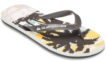 Quiksilver Herren Molokai Art 25Sandale