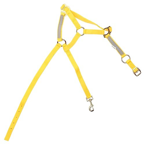 Gatuida Reflektierendes Pferdehalfter Fluoreszierendem Tragenresistente Kopfstall Für Cob Reitzubehör Für Pferde