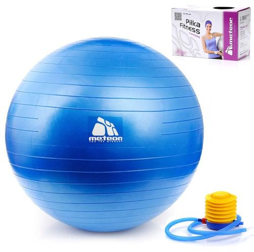 Palla Fitness Ginnastica Anti-Scoppio Robusta Palla da Fitness Pilates Fisioterapia Equilibrio per Sedersi Palla da Seduta per L'Ufficio Palla da Yoga con Pompa - 4 Dimensioni (65 cm, Blu)