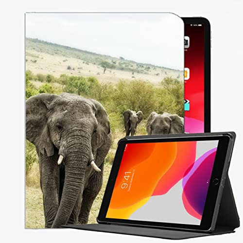 Für iPad Pro 11 Fall 2021 2020 2018 Fall-Abdeckung, Tiere Elefant Chubby Style34 Case Slim Shell Cover für iPad Pro 11 Zoll
