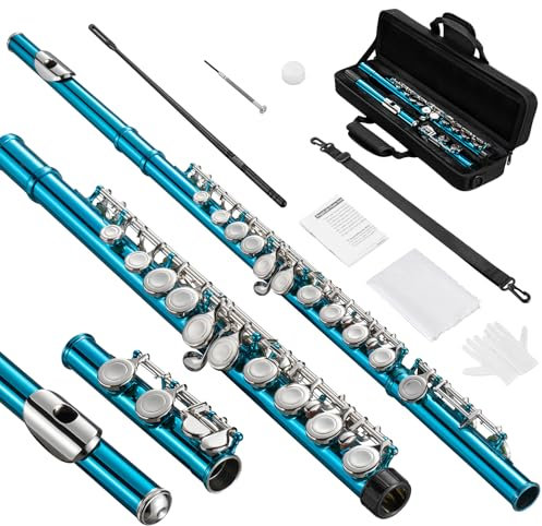 POGOLAB Flöte, C Flute mit geschlossenem Loch, Schülerflöte mit geteiltem E Offset-G, Flötentasche/Flötenreinigungsset/Probestab/Handschuhe/Fett, Nickelflöte für Schulband-Übungen (blau)