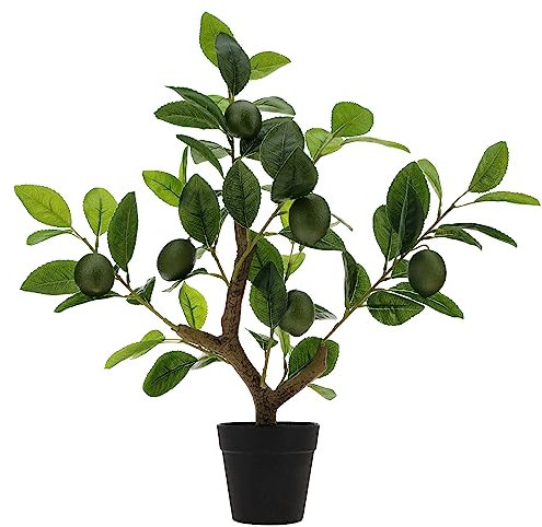 Gresorth 51cm Künstliche Grün Zitrone Bäume Gefälschte Household Grün Pflanzen Früchte Dekoration mit Kunststoff Eingetopft Realistisch Blätter für Wohnaccessoires Tabelle Büro Garten Innenbereich