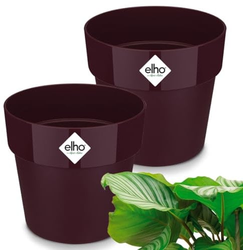 Gardebruk® 2X Pot de Fleurs b.for Original Mûre 35x32 cm Rond Cache-Pot Pot de Fleurs Pot de Plantes Plastique Balcon