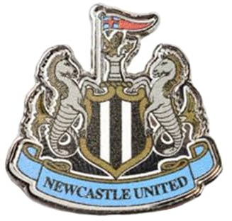 Newcastle United FC Metal Badge Pin, 25mm x 25mm, Silver Finish