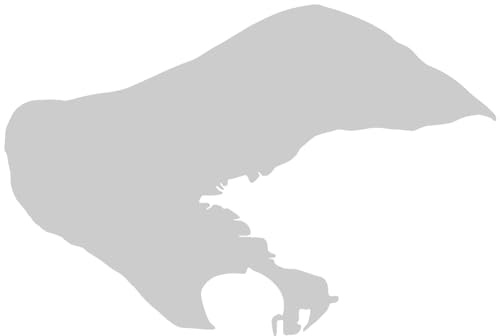 Samunshi® Borkum Aufkleber Insel 8 x 5,4cm silbermetalleffekt