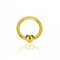 eeddoo Piercing-Ring BCR Klemmring Gold Edelstahl Stärke: 2,5 mm Durchmesser: 19 mm 6 mm