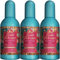 Tesori d´oriente Ayurveda Lot de 3 eaux de toilette en vaporisateur 100 ml