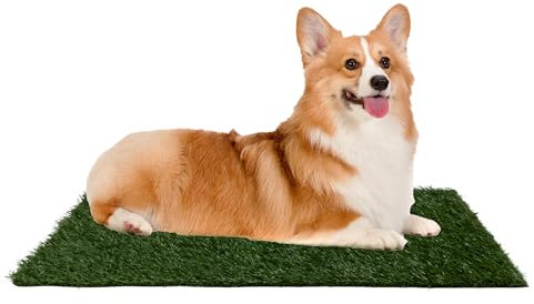 Petmaker Tapis d'urine en Gazon Artificiel pour Chiots et Petits Animaux de Compagnie – 50,8 x 63,5 cm réutilisable à 3 Couches avec Plateau – Fournitures de Rupture pour Chien par PETMAKER, Vert