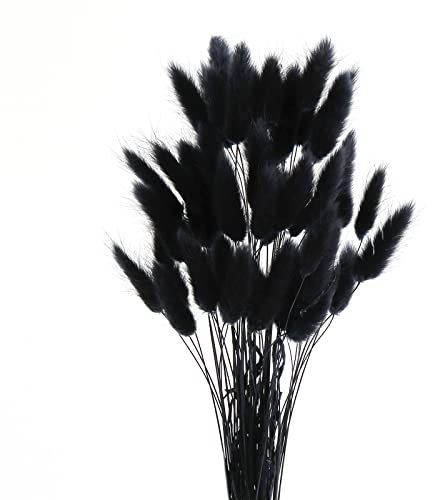 ROOBZE Pampa Fleur Séchée Décoration 50 Count Naturel Fleurs Séchées Bouquet, Fleur de Pampa Chambre Décoration Fleur Séchée Fleurs Sechees Naturelles Bouquet Intérieur Mariage Décoration (Noir)