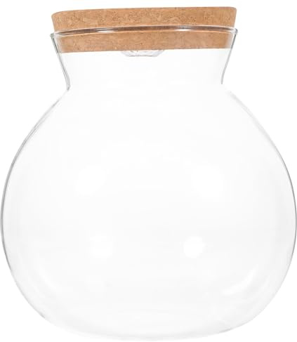 Abaodam Tarro de Cristal para Terrario con Base de Luz Led, Pequeño Recipiente para Plantas de Interior, Kit de Microecosistema Paisajístico DIY para Decoración de Escritorio.