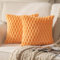 Mandioo 2er Set Orange superweichen dekorative Plüsch Kissenbezug Kissenbezüge 50 x 50 cm Wollsamt Dekokissenbezüge Kissenhülle Sofakissen Dekokissen flauschig für Couch Sofa Bett Wohnzimmer