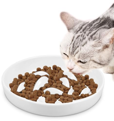 Gamelle anti-glouton en céramique pour chat avec nourriture lente, bord surélevé, gamelle en forme de poisson pour animaux de compagnie, gamelle anti-vomissements, facile à nettoyer, gamelle pour