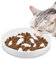 Gamelle anti-glouton en céramique pour chat avec nourriture lente, bord surélevé, gamelle en forme de poisson pour animaux de compagnie, gamelle anti-vomissements, facile à nettoyer, gamelle pour