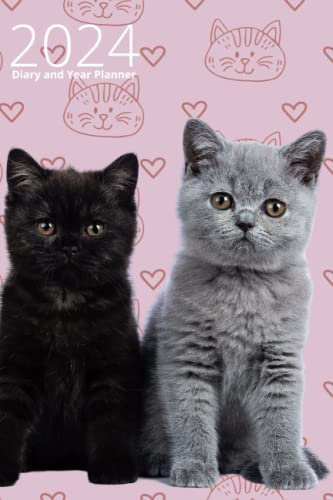 2024 Cat diary and year planner