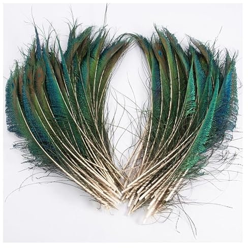 GreatRise 25-30cm Pfauenfedern Natürliche Pfau Federn Federn für Vase Pfau Schwanzfedern Schöne Heckaugenfedern Heimdekoration für DIY Bastelarbeiten Blumenvase Kappe Brautkostüm Grün 30-40cm*10 Stück