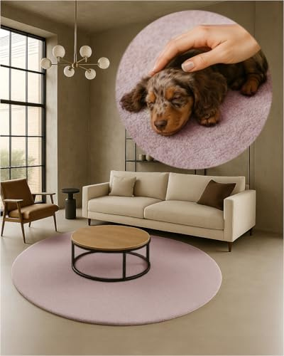 TEXMAXX Weicher Kurzflor Teppich Wohnzimmer mit rutschhemmender Rückseite