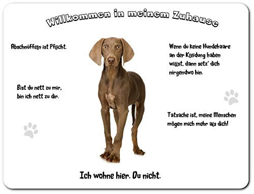 Merchandise for Fans Blechschild/Warnschild/Türschild - Aluminium - 20x30cm - - Willkommen in Meinem Zuhause - Motiv: Weimaraner Junghund stehend - 01