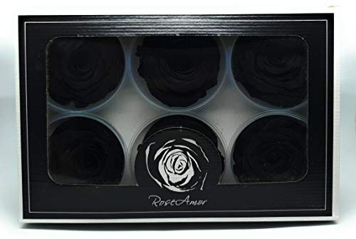 RoseAmor Scatola 6 Rose stabilizzate Nere