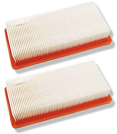2 filtri di protezione del motore aspirapolvere come DS 5200 DS 5500 DS 5600 DS 5800 K5500 per filtro Kärcher alternativo come 6.414-631.0 - 64146310