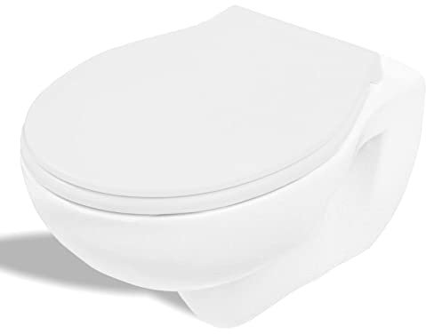 Sanit WC-Sitz 2100 mit Edelstahlscharnier/Alpin-Weiß White