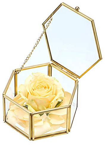 Sumnacon Schmuckschatulle aus Metall und Glas,Schmuckbox, Schmukkiste,Schmuckkoffer,für Schmuck von Damen, Sechseckig(Golden)