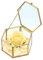 Sumnacon, scatola decorativa per gioielli in vetro, portagioie, portagioie, scatola regalo, espositore per orecchini, collane, anelli (oro, grande)