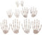 Gcroet 5 Paare von Halloween realistischer lebensgroßer Skeletthand, Plastik Skelett Hände Plastikdummy Handknochen für Spukhaus Accessoire Zombie Party