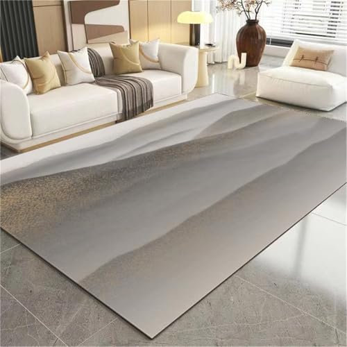 ROSURUG Teppichr Bodenmatte 200X300CM Trübe natürliche Muster Wohnzimmer Studie Dekoration Anti-Tropfen-Teppich waschbar Läufer Flur Bedroom Decor Grau