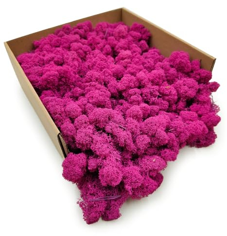 Enchanted Moos Konserviertes Rentiermoos Stabilisiert Deko Moos Zum Basteln DIY Für Mosbilder Floristik Natur Finnisch Fuchsie 500 g