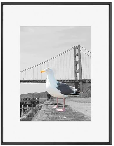 Frametory, 16x20 Metal Picture Frame Collection, Aluminum Photo Frame with Ivory Color Mat for 11x14 Picture & Real Glass (Black)